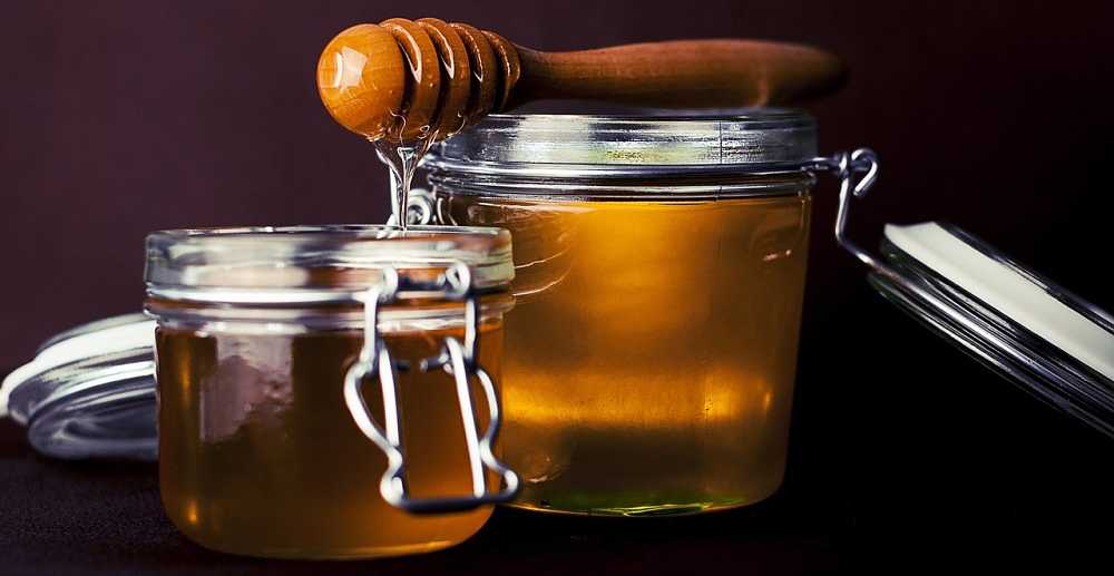 Can Dogs Eat Honey?