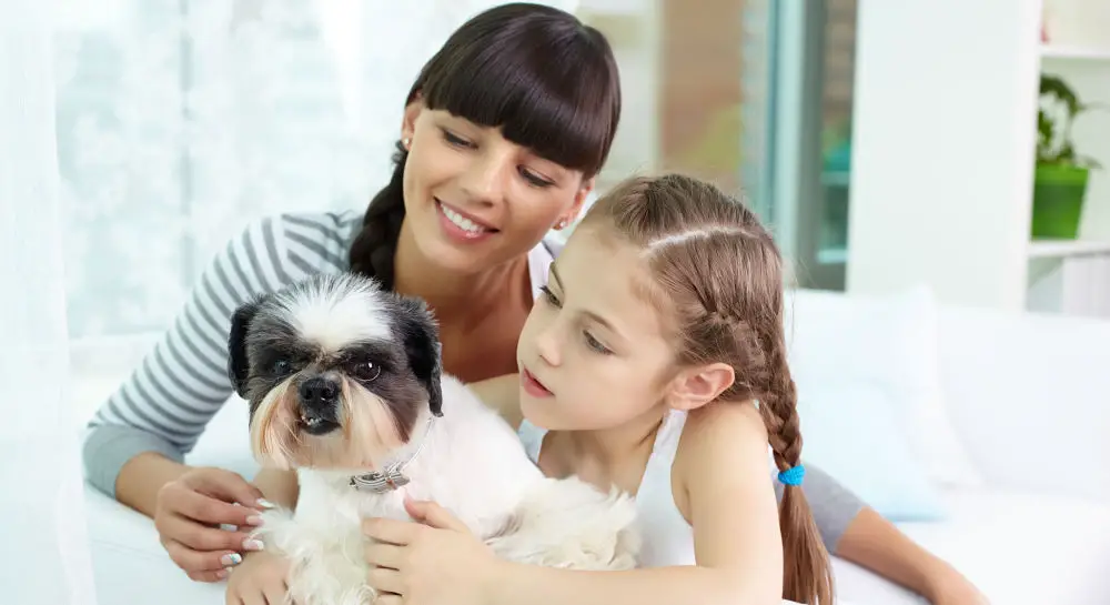 As a responsible dog owner, it's up to you to provide the basic dog care your pet needs.