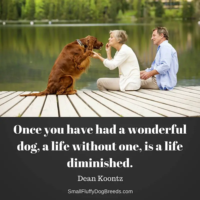 Once you have had a wonderful dog, a life without one, is a life diminished - Dean Koontz quote