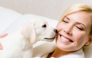 Why Do Dogs Lick People?