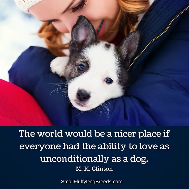 The world would be a nicer place if everyone had the ability to love as unconditionally as a dog - M. K. Clinton quote