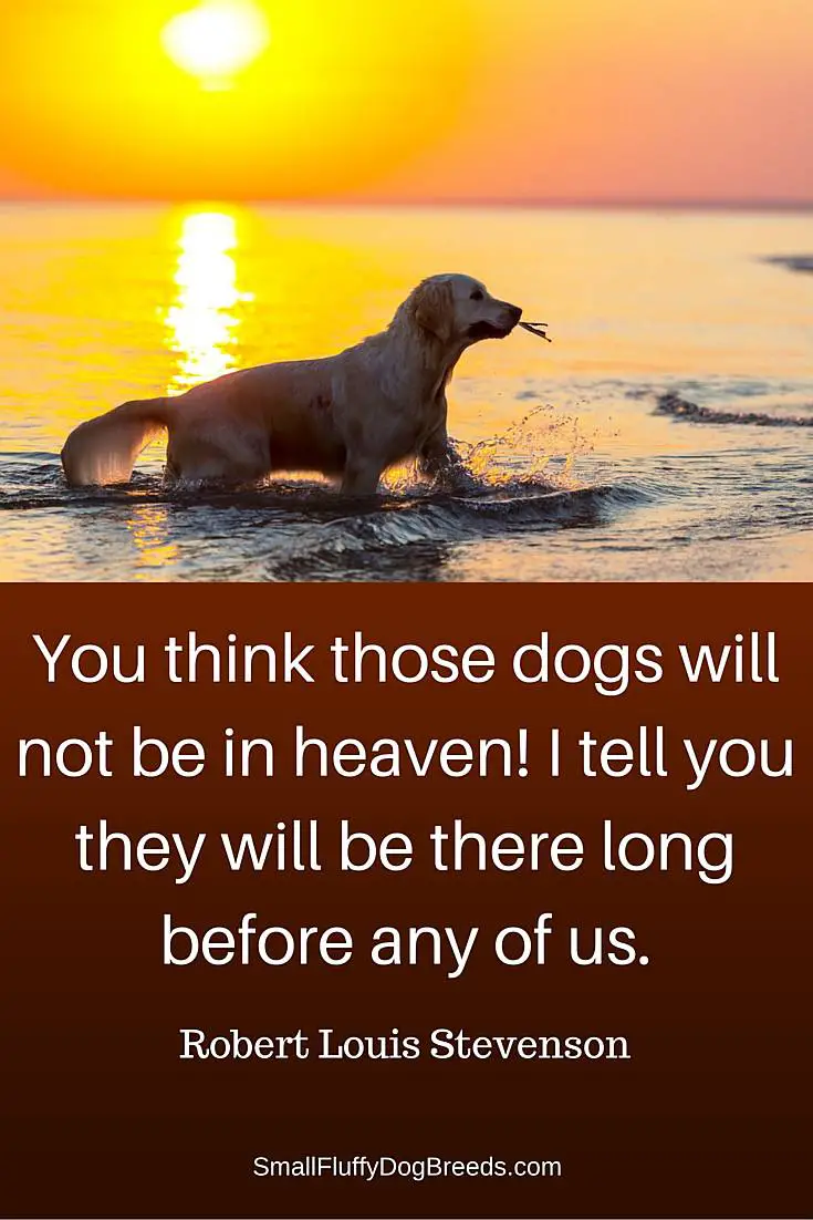 You think those dogs will not be in heaven! I tell you they will be there long before any of us - Robert Louis Stevenson