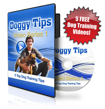 5 Free Dog Training Videos