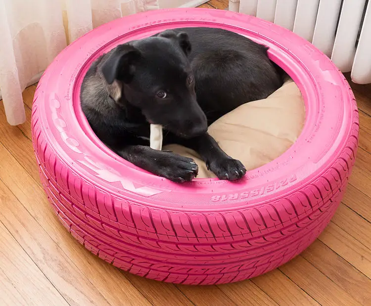 DIY dog bed from a recycled tire