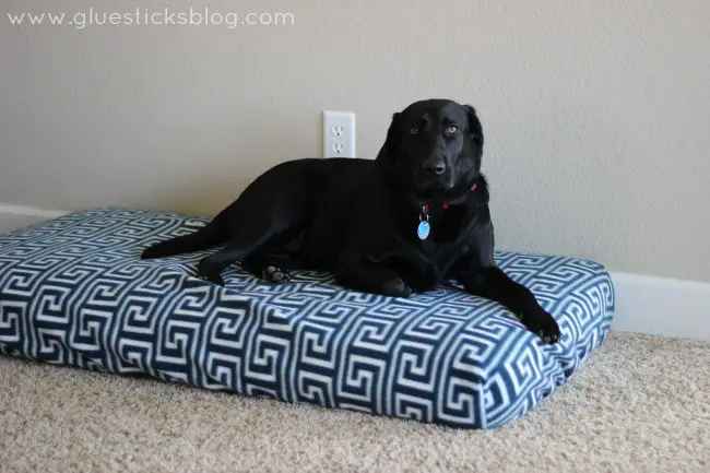 Crib mattress dog bed