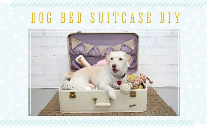 Dog bed suitcase DIY