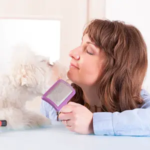 How To Groom Your Dog Like A Professional