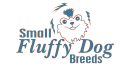 Small Fluffy Dog Breeds