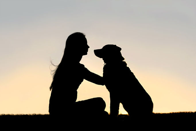 Coping With The Loss Of Your Dog