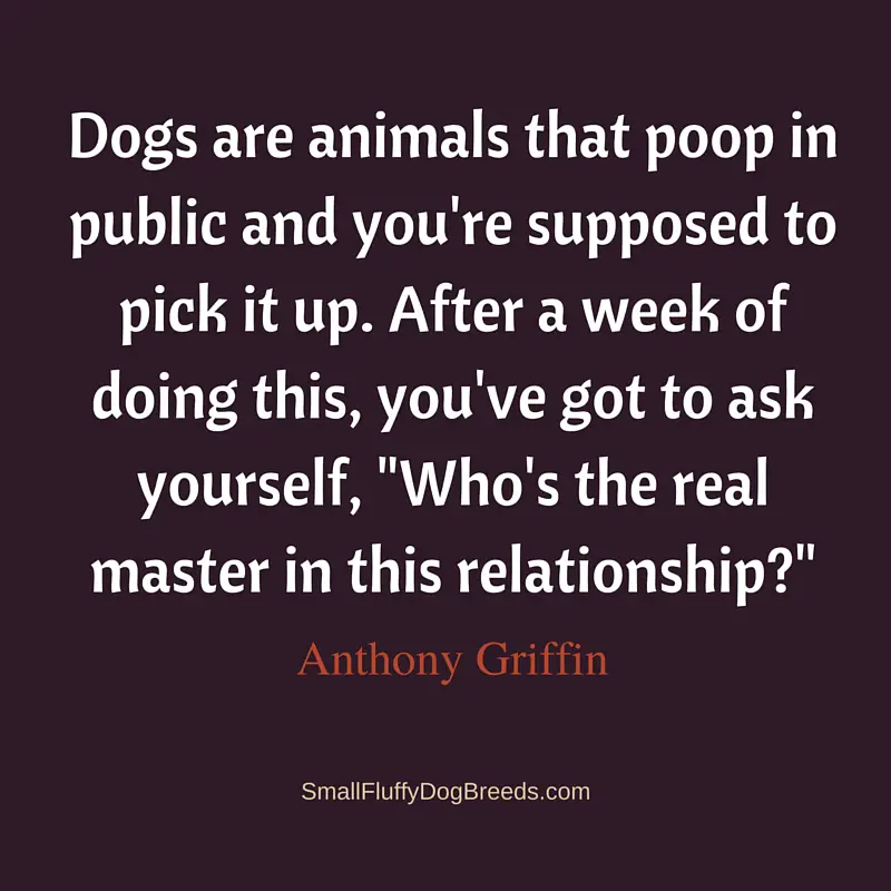 Dogs are animals that poop Anthony Griffin quote