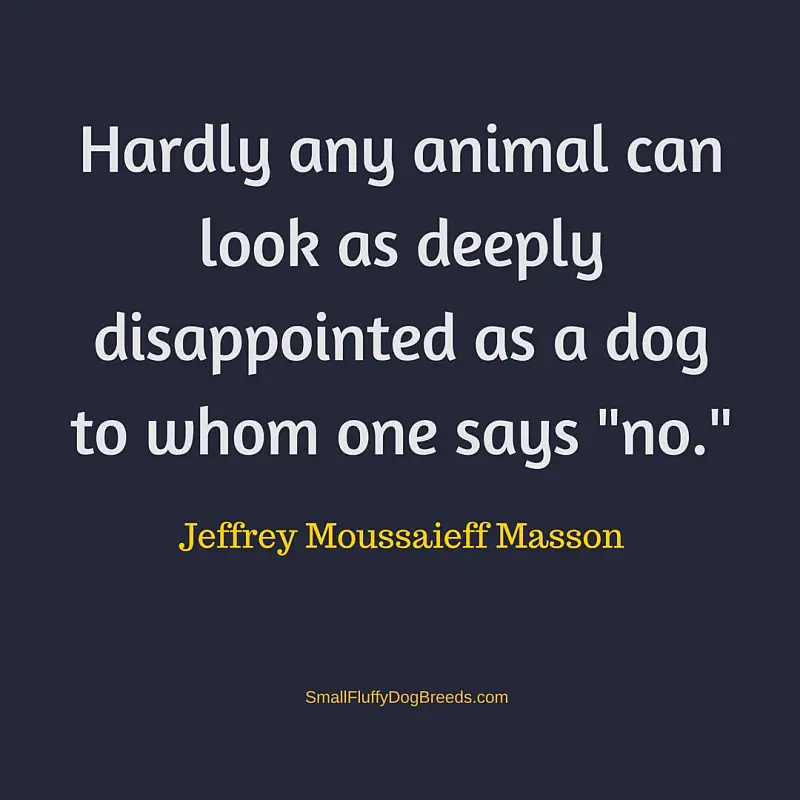 Hardly any animal Jeffrey Moussaief Masson quote