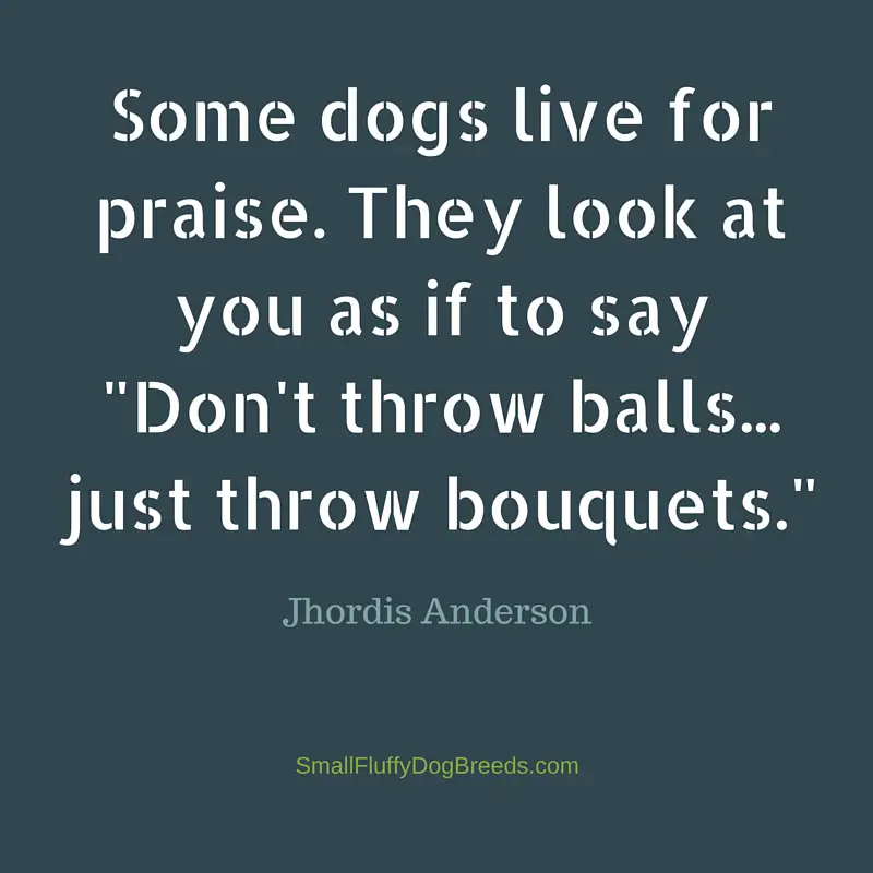 Funny dog sayings: Some Dogs Live For Praise - Jhordis Anderson