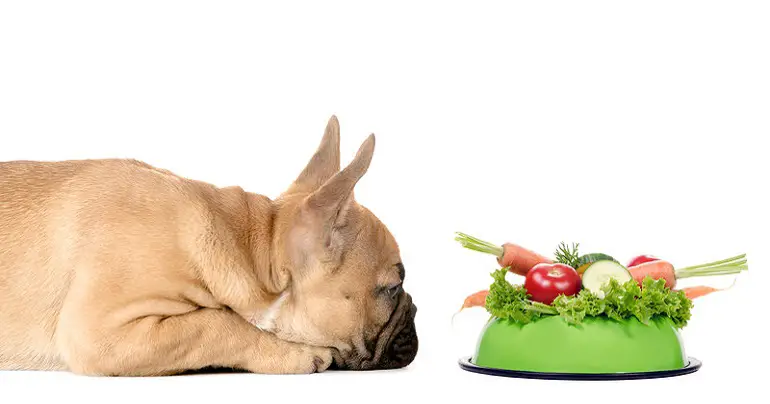 can dogs eat lettuce and tomatoes