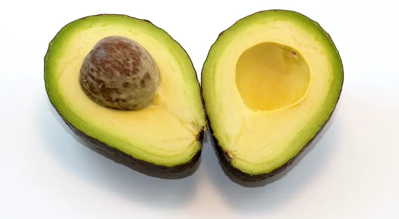 Avocados have many health benefits for humans but are toxic to some animals. So are avocados good for dogs or not?