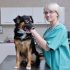 Diatomaceous Earth For Dogs