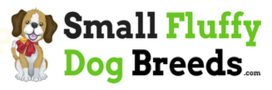 SFDB Logo