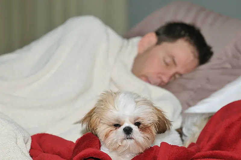 Answering the question of whether sleeping with your dog is a good idea