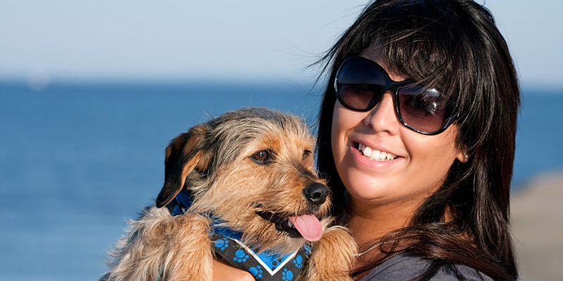 Some tips and advice on how to get a dog to like you and trust you