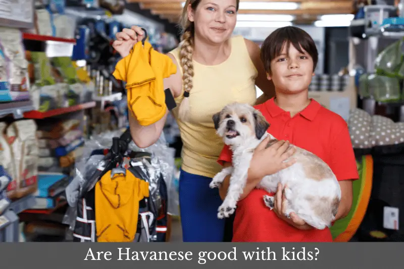 Are Havanese good with kids?